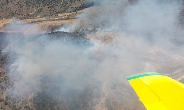 Ekin tarlasında çıkan yangın ormana yayıldı